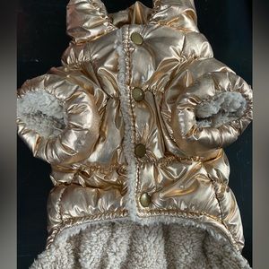 Puffy gold dog jacket